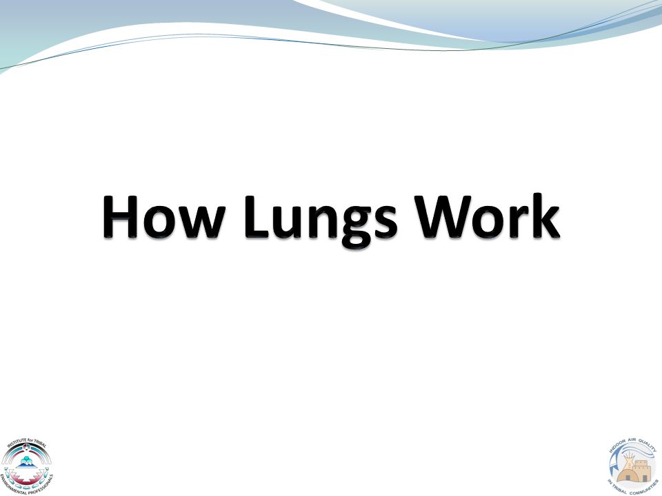 2 Presentation How Lungs Work What is IAQ.