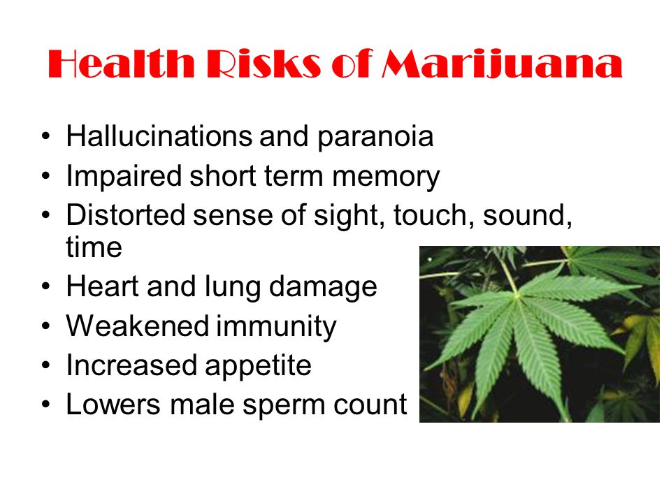 Health Risks of Marijuana Hallucinations and paranoia Impaired short term memory Distorted sense of sight, touch, sound, time Heart and lung damage Weakened immunity Increased appetite Lowers male sperm count