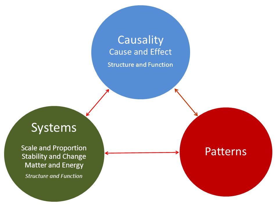 Systems Scale and Proportion Stability and Change Matter and Energy Structure and Function Causality Cause and Effect Structure and Function Patterns