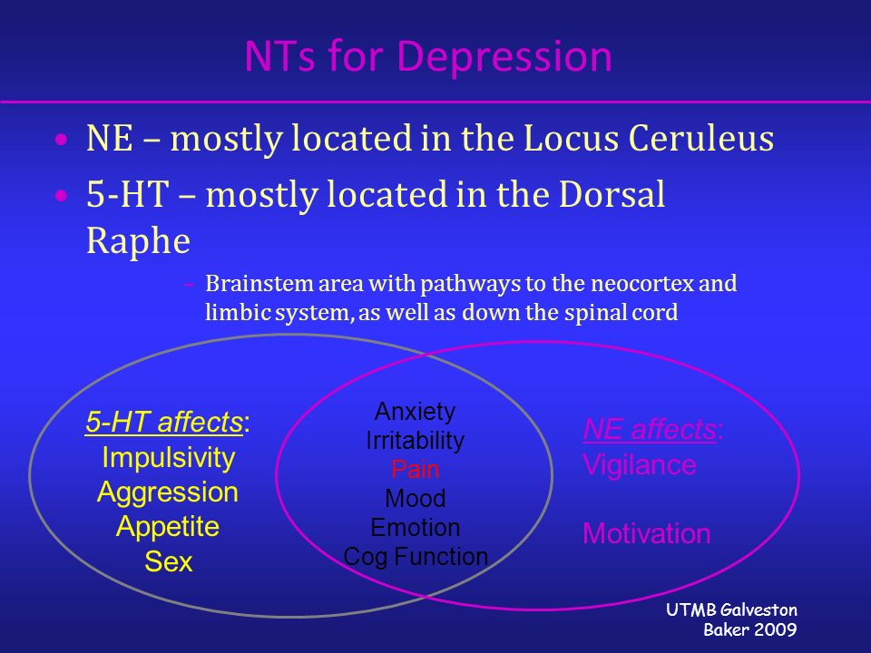UTMB Galveston Baker 2009 NTs for Depression NE – mostly located in the Locus Ceruleus 5-HT – mostly located in the Dorsal Raphe –Brainstem area with pathways to the neocortex and limbic system, as well as down the spinal cord 5-HT affects: Impulsivity Aggression Appetite Sex NE affects: Vigilance Motivation Anxiety Irritability Pain Mood Emotion Cog Function