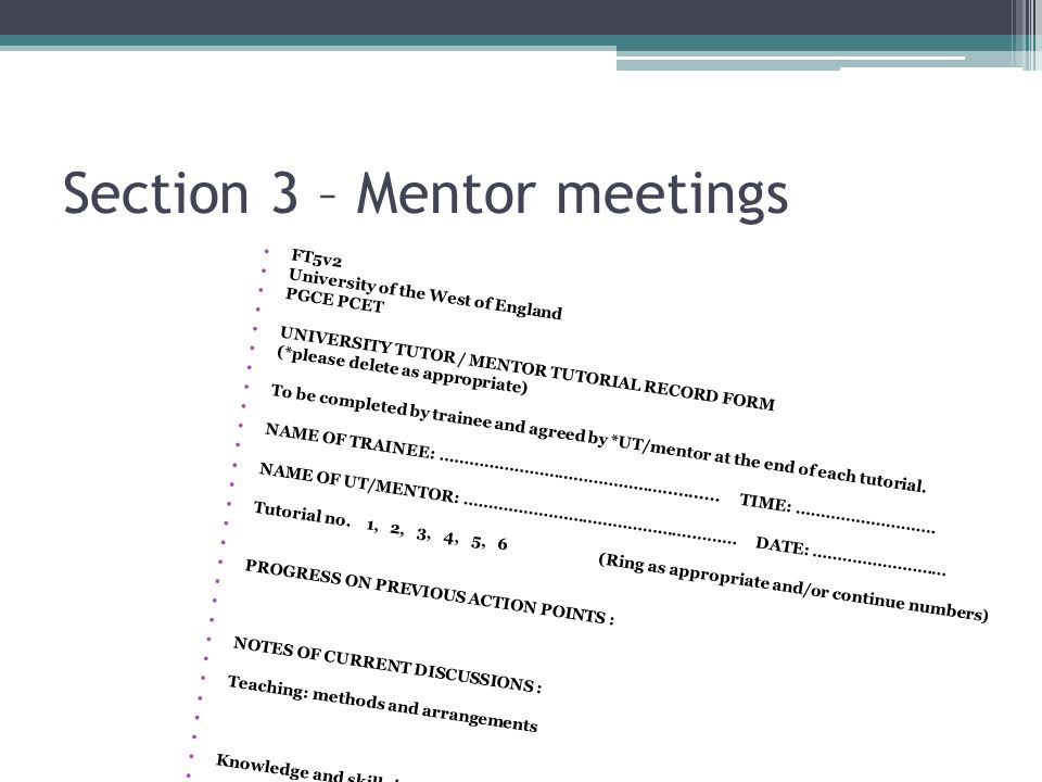 the teaching file professional