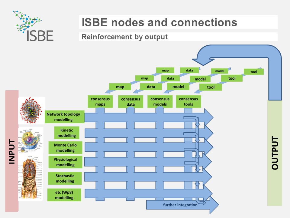 ISBE nodes and connections Reinforcement by output OUTPUT