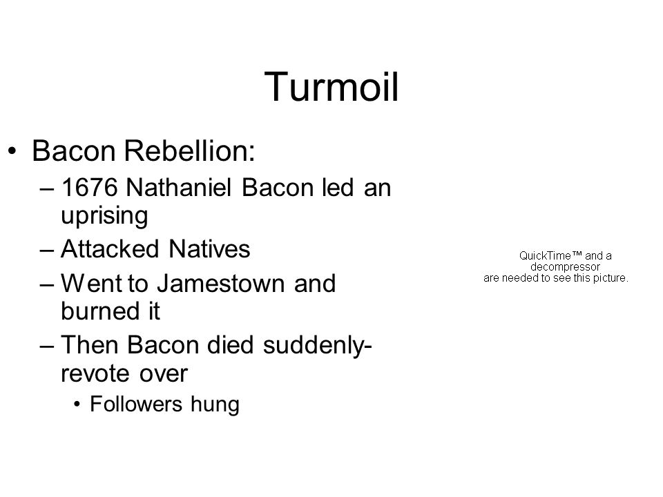 Turmoil Bacon Rebellion: –1676 Nathaniel Bacon led an uprising –Attacked Natives –Went to Jamestown and burned it –Then Bacon died suddenly- revote over Followers hung