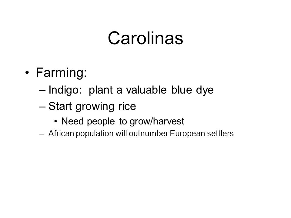 Carolinas Farming: –Indigo: plant a valuable blue dye –Start growing rice Need people to grow/harvest –African population will outnumber European settlers