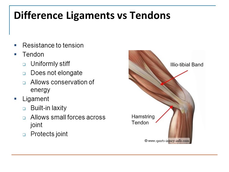 ligaments and tendons part 3 david flanigan md assistant professor