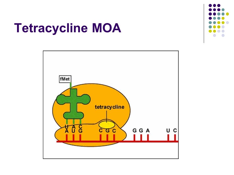 Tetracycline MOA