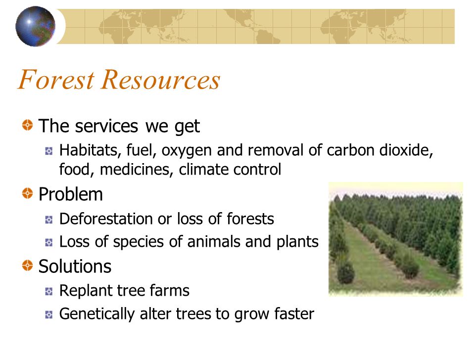 Forest Resources The services we get Habitats, fuel, oxygen and removal of carbon dioxide, food, medicines, climate control Problem Deforestation or loss of forests Loss of species of animals and plants Solutions Replant tree farms Genetically alter trees to grow faster