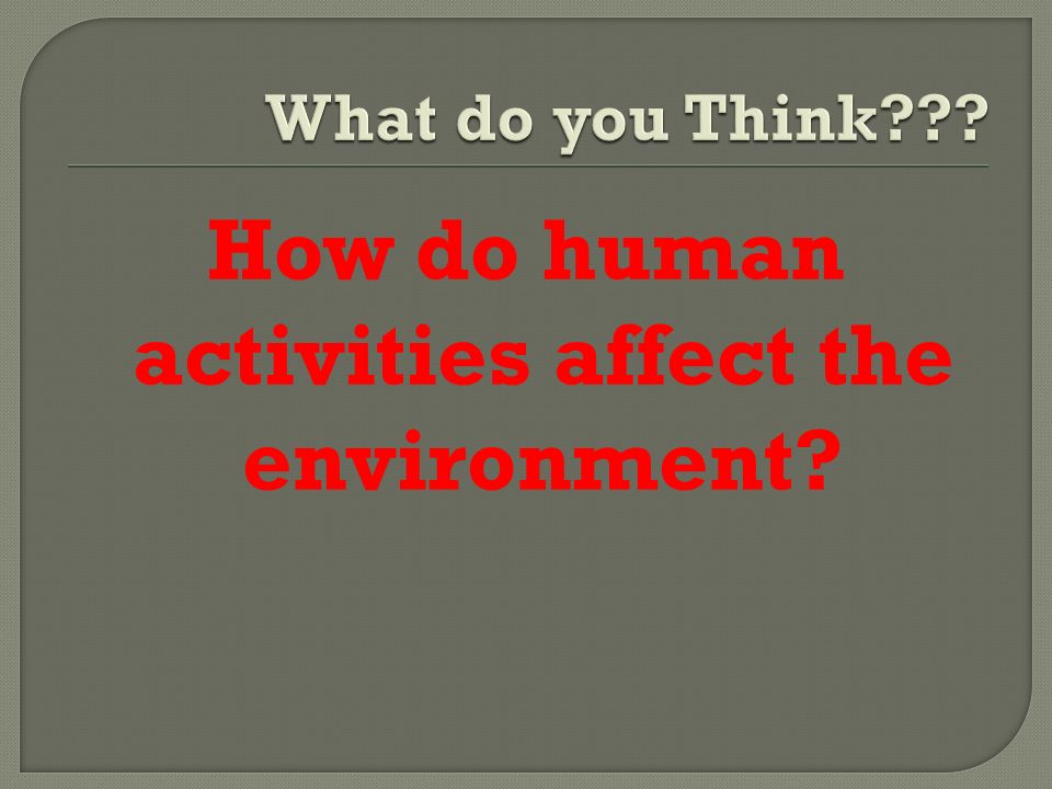 How do human activities affect the environment