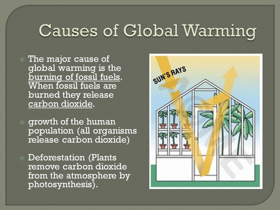  The major cause of global warming is the burning of fossil fuels.