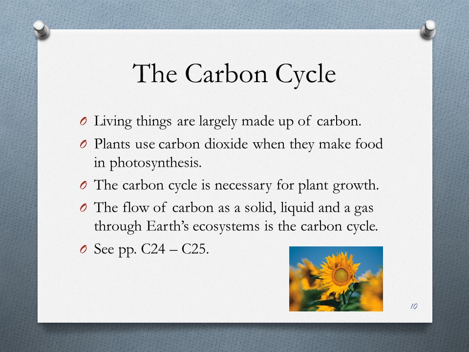 The Carbon Cycle O Living things are largely made up of carbon.