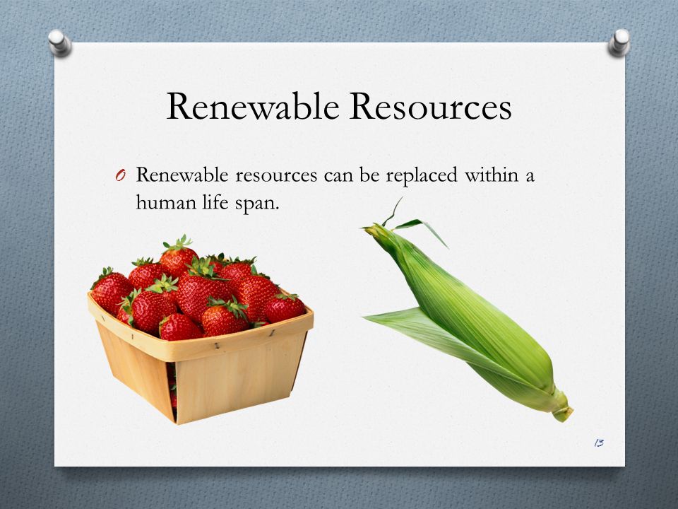 Renewable Resources O Renewable resources can be replaced within a human life span. 13
