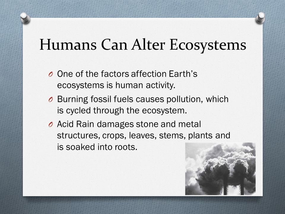 Humans Can Alter Ecosystems O One of the factors affection Earth’s ecosystems is human activity.