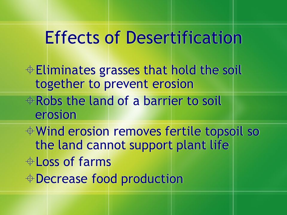 Effects of Desertification  Eliminates grasses that hold the soil together to prevent erosion  Robs the land of a barrier to soil erosion  Wind erosion removes fertile topsoil so the land cannot support plant life  Loss of farms  Decrease food production  Eliminates grasses that hold the soil together to prevent erosion  Robs the land of a barrier to soil erosion  Wind erosion removes fertile topsoil so the land cannot support plant life  Loss of farms  Decrease food production