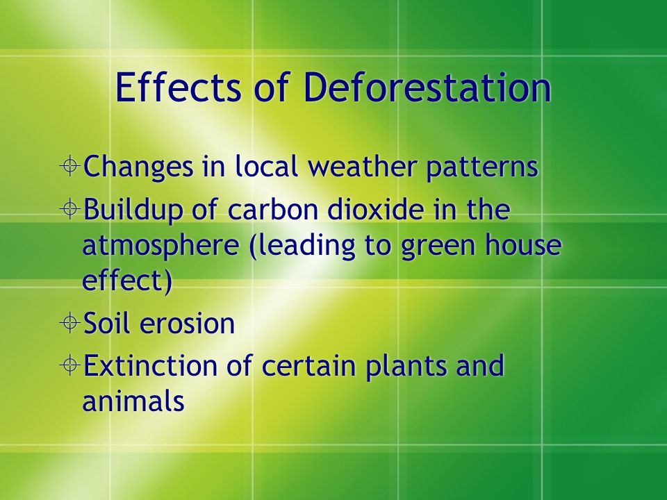 Effects of Deforestation  Changes in local weather patterns  Buildup of carbon dioxide in the atmosphere (leading to green house effect)  Soil erosion  Extinction of certain plants and animals  Changes in local weather patterns  Buildup of carbon dioxide in the atmosphere (leading to green house effect)  Soil erosion  Extinction of certain plants and animals