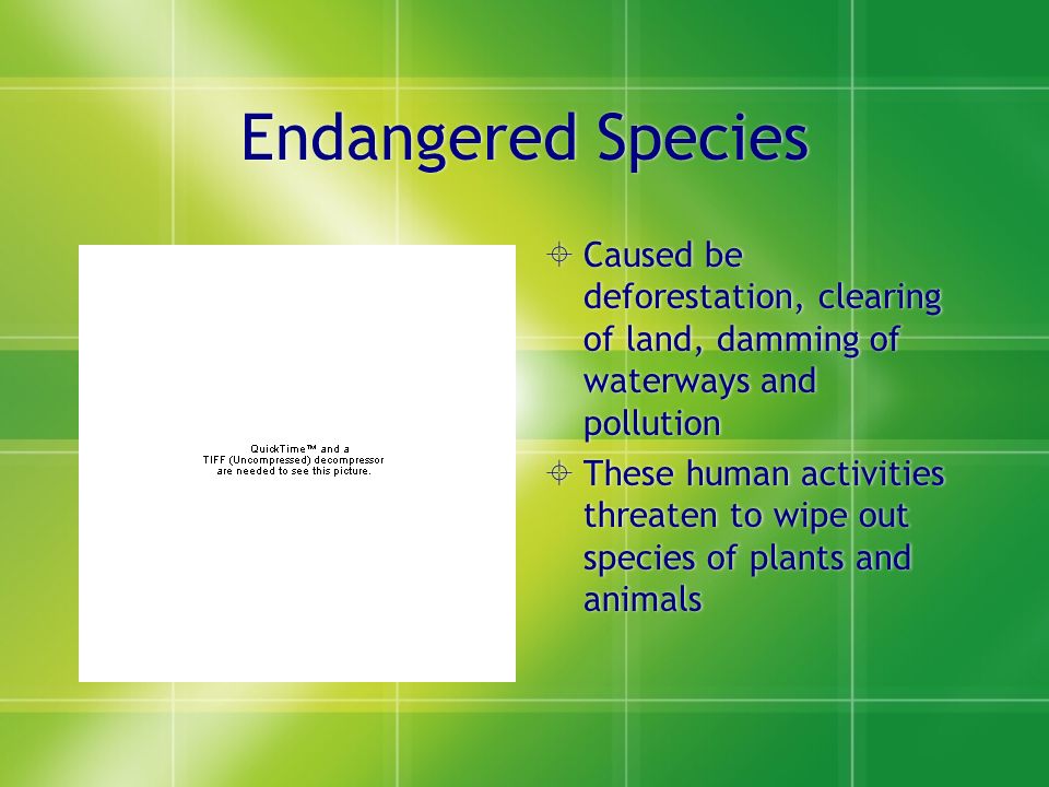Endangered Species  Caused be deforestation, clearing of land, damming of waterways and pollution  These human activities threaten to wipe out species of plants and animals