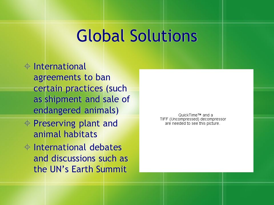 Global Solutions  International agreements to ban certain practices (such as shipment and sale of endangered animals)  Preserving plant and animal habitats  International debates and discussions such as the UN’s Earth Summit  International agreements to ban certain practices (such as shipment and sale of endangered animals)  Preserving plant and animal habitats  International debates and discussions such as the UN’s Earth Summit