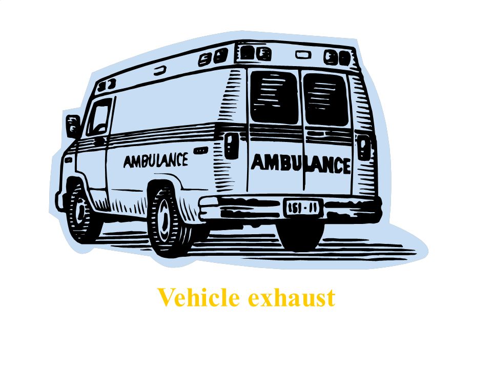 Vehicle exhaust