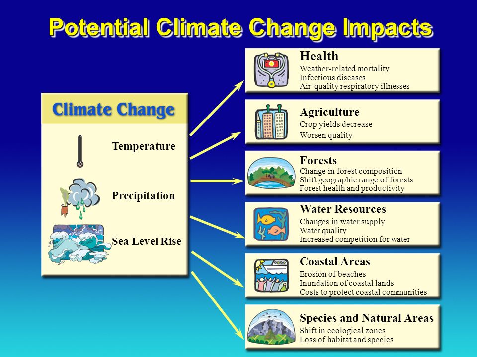 Health Weather-related mortality Infectious diseases Air-quality respiratory illnesses Agriculture Crop yields decrease Worsen quality Water Resources Changes in water supply Water quality Increased competition for water Coastal Areas Erosion of beaches Inundation of coastal lands Costs to protect coastal communities Forests Change in forest composition Shift geographic range of forests Forest health and productivity Species and Natural Areas Shift in ecological zones Loss of habitat and species Potential Climate Change Impacts Sea Level Rise Temperature Precipitation
