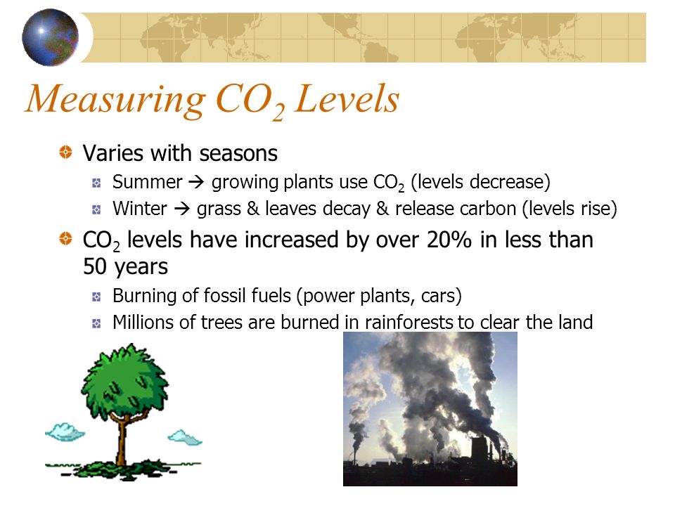 Measuring CO 2 Levels Varies with seasons Summer  growing plants use CO 2 (levels decrease) Winter  grass & leaves decay & release carbon (levels rise) CO 2 levels have increased by over 20% in less than 50 years Burning of fossil fuels (power plants, cars) Millions of trees are burned in rainforests to clear the land