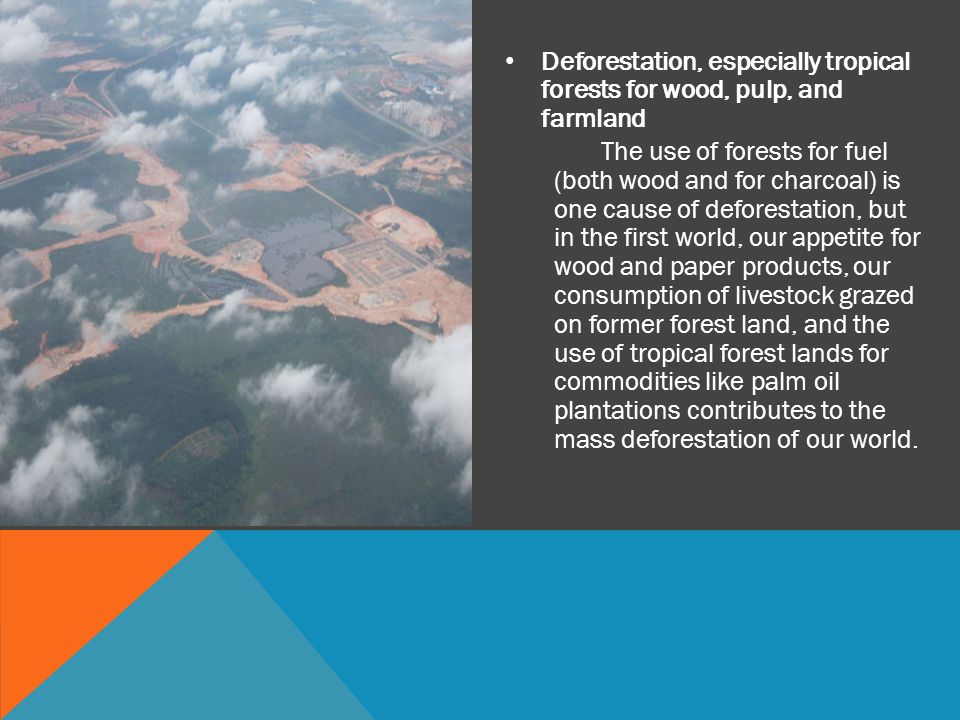 Deforestation, especially tropical forests for wood, pulp, and farmland The use of forests for fuel (both wood and for charcoal) is one cause of deforestation, but in the first world, our appetite for wood and paper products, our consumption of livestock grazed on former forest land, and the use of tropical forest lands for commodities like palm oil plantations contributes to the mass deforestation of our world.