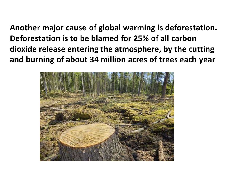 Another major cause of global warming is deforestation.