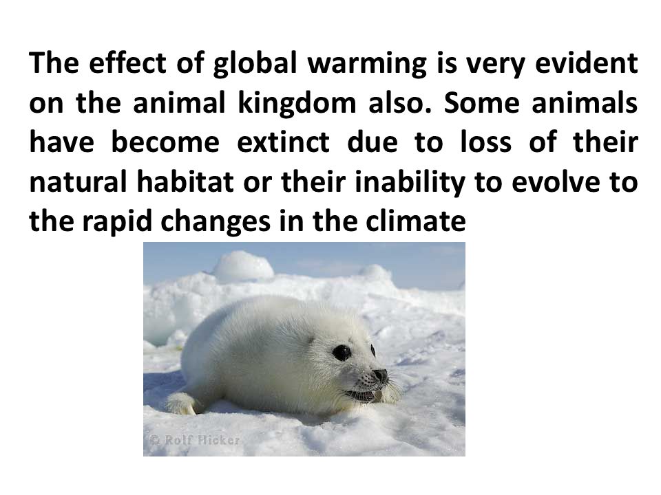 The effect of global warming is very evident on the animal kingdom also.