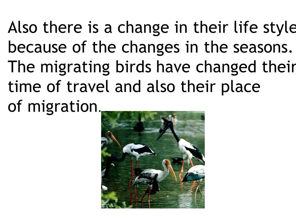 Also there is a change in their life style because of the changes in the seasons.