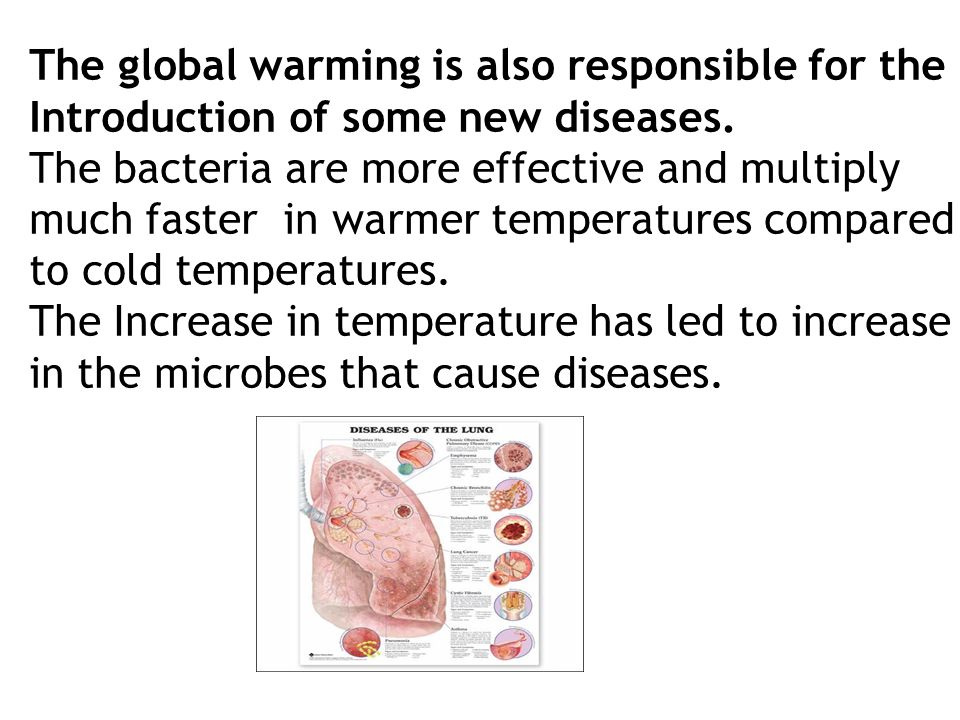 The global warming is also responsible for the Introduction of some new diseases.