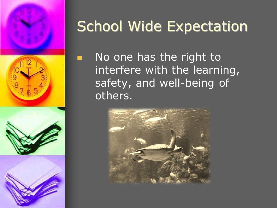 School Wide Expectation No one has the right to interfere with the learning, safety, and well-being of others.