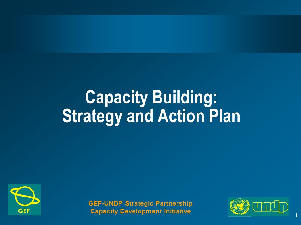 1 Capacity Building: Strategy and Action Plan GEF-UNDP Strategic Partnership Capacity Development Initiative