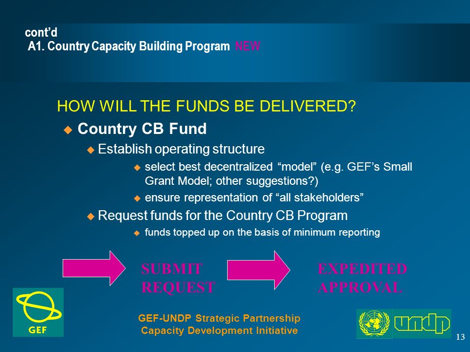 13 cont’d A1. Country Capacity Building Program NEW HOW WILL THE FUNDS BE DELIVERED.