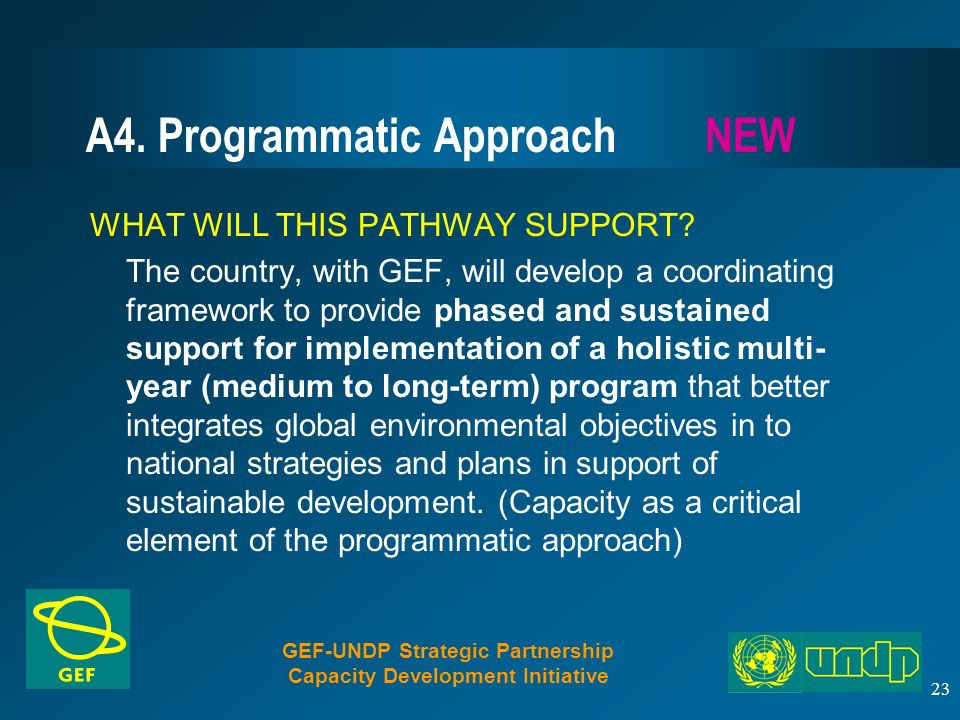 23 A4. Programmatic Approach NEW WHAT WILL THIS PATHWAY SUPPORT.