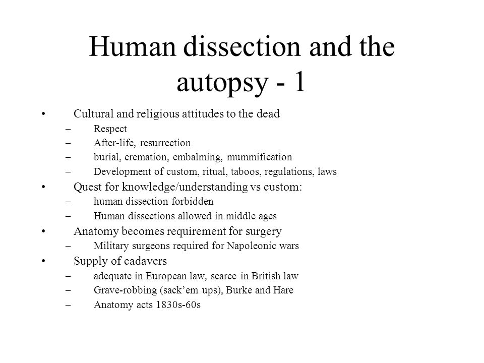 life quest anatomical life quest anatomical