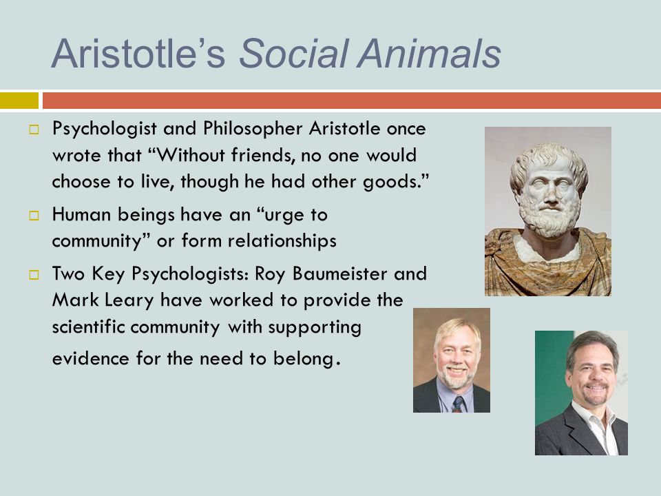 Jade Chambers-Blair 2B 3/22/13. Aristotle's Social Animals  Psychologist  and Philosopher Aristotle once wrote that “Without friends, no one would  choose. - ppt download