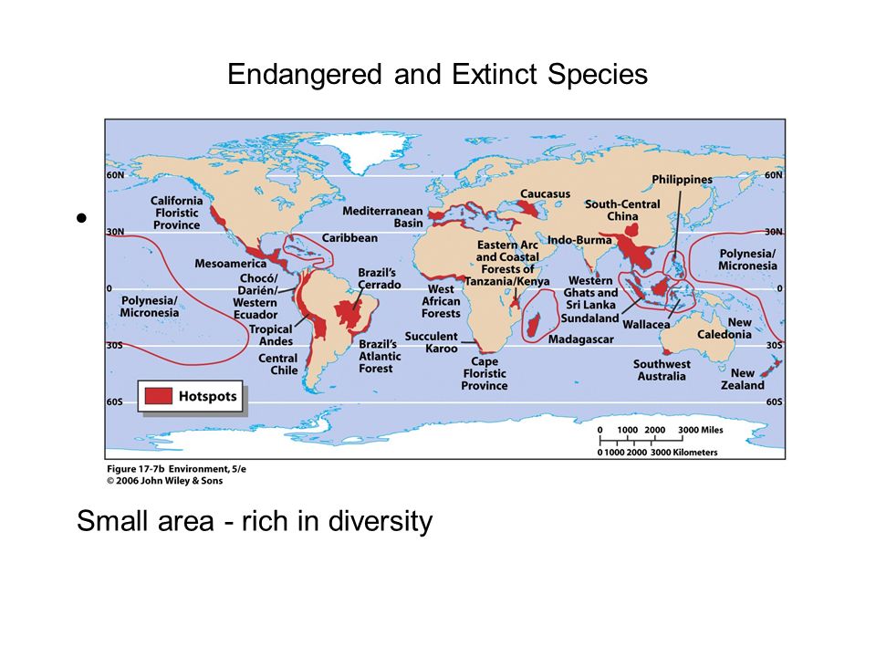 Endangered and Extinct Species Earth’s Biodiversity Hotspots Small area - rich in diversity
