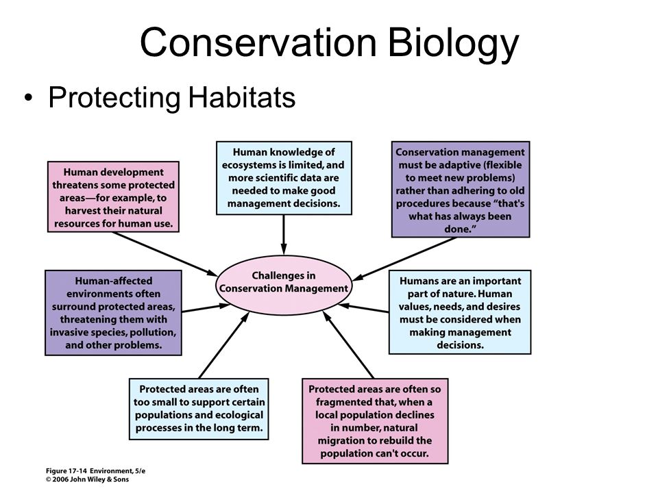 Conservation Biology Protecting Habitats