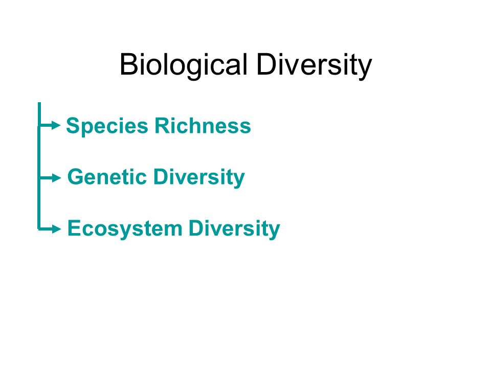 Biological Diversity Species Richness Genetic DiversityEcosystem Diversity