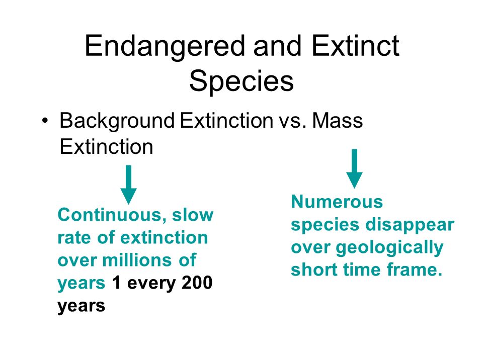 Endangered and Extinct Species Background Extinction vs.