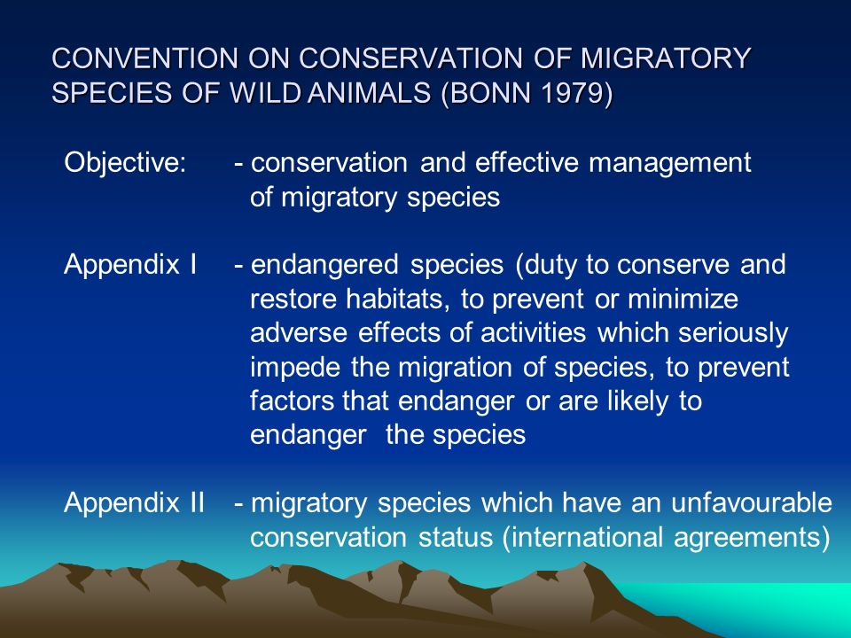 CONVENTION ON CONSERVATION OF MIGRATORY SPECIES OF WILD ANIMALS (BONN 1979) Objective:- conservation and effective management of migratory species Appendix I - endangered species (duty to conserve and restore habitats, to prevent or minimize adverse effects of activities which seriously impede the migration of species, to prevent factors that endanger or are likely to endanger the species Appendix II - migratory species which have an unfavourable conservation status (international agreements)