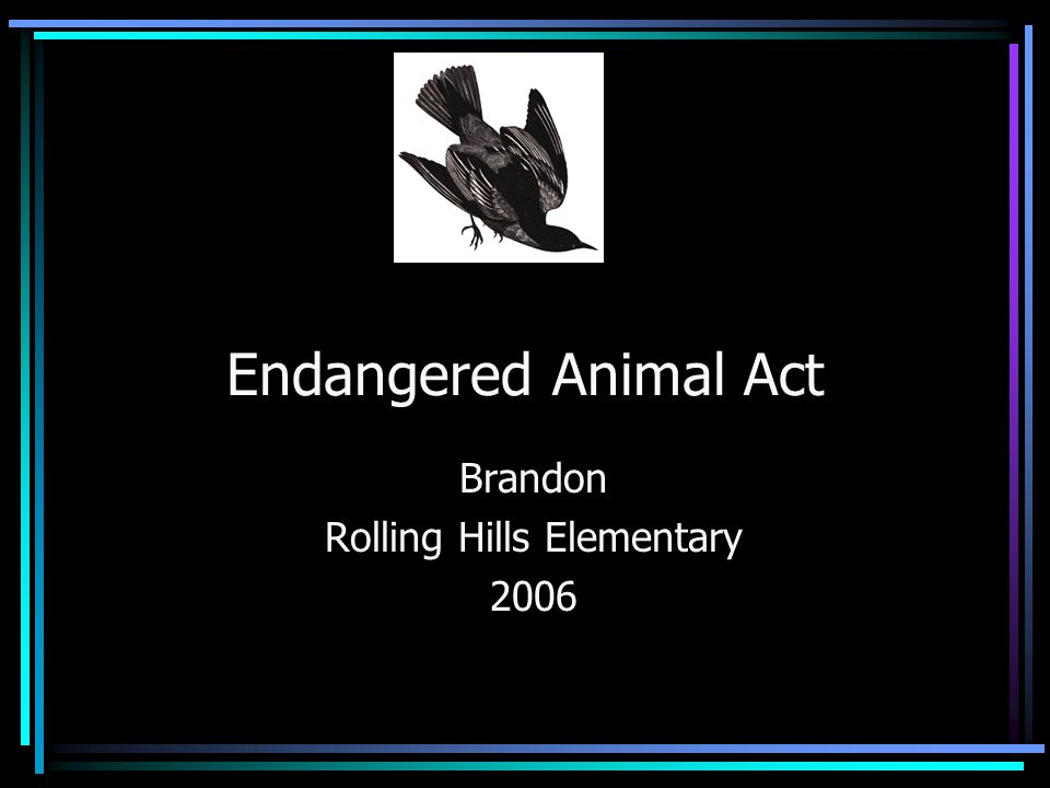Endangered Animal Act Brandon Rolling Hills Elementary 2006