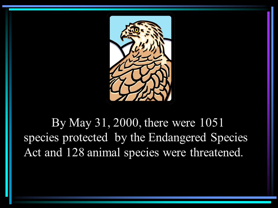 By May 31, 2000, there were 1051 species protected by the Endangered Species Act and 128 animal species were threatened.