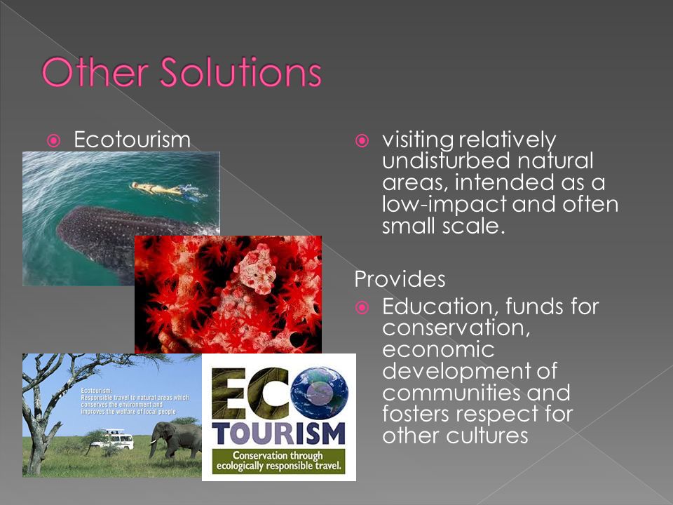  Ecotourism  visiting relatively undisturbed natural areas, intended as a low-impact and often small scale.