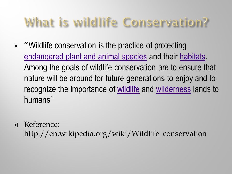 conservation of wildlife importance