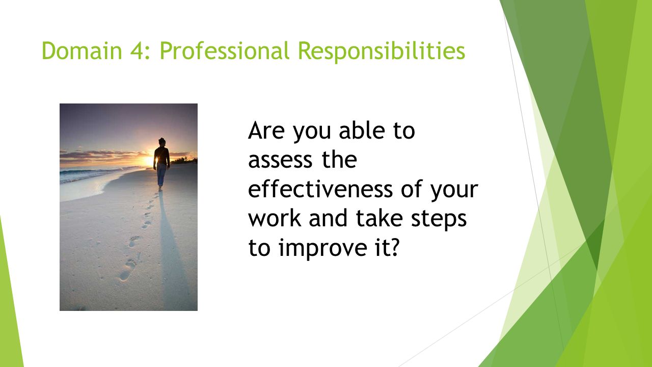 Domain 4: Professional Responsibilities Are you able to assess the effectiveness of your work and take steps to improve it