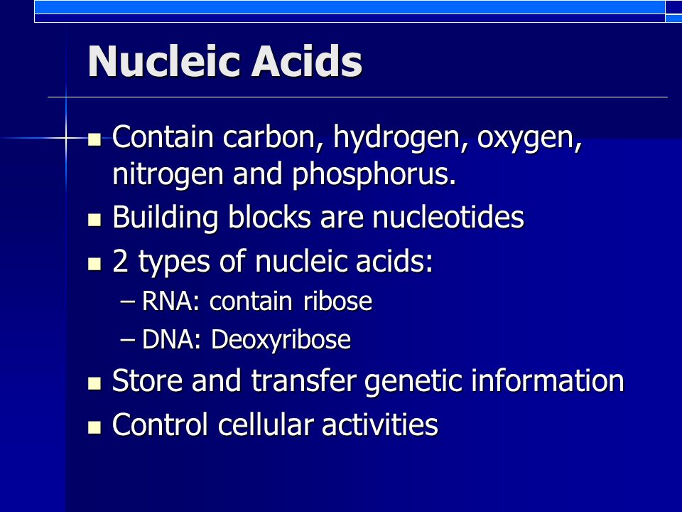 Nucleic Acids Contain carbon, hydrogen, oxygen, nitrogen and phosphorus.
