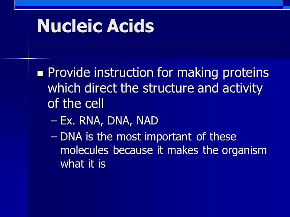 Nucleic Acids Provide instruction for making proteins which direct the structure and activity of the cell Provide instruction for making proteins which direct the structure and activity of the cell –Ex.