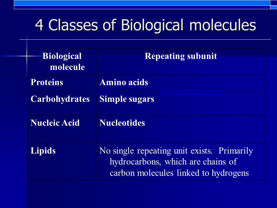 4 Classes of Biological molecules Biological molecule Repeating subunit ProteinsAmino acids CarbohydratesSimple sugars Nucleic AcidNucleotides LipidsNo single repeating unit exists.