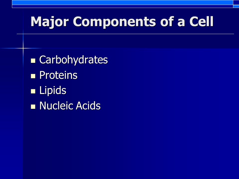 Major Components of a Cell Carbohydrates Carbohydrates Proteins Proteins Lipids Lipids Nucleic Acids Nucleic Acids