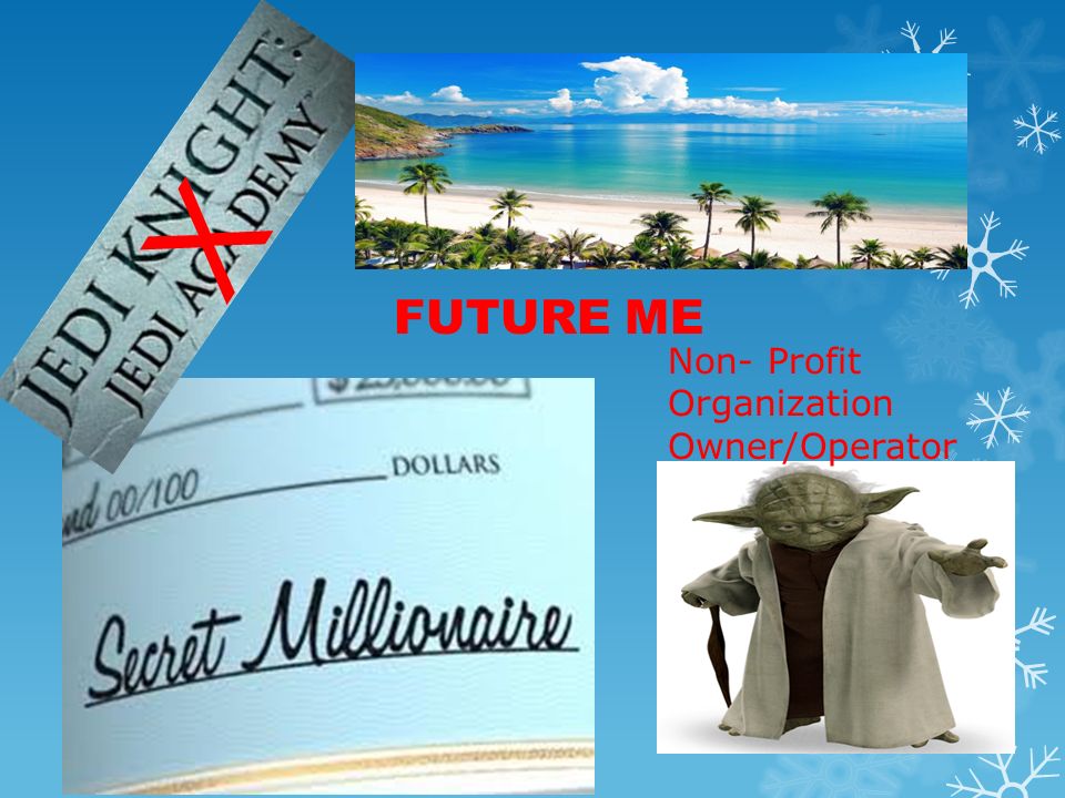 FUTURE ME Non- Profit Organization Owner/Operator X