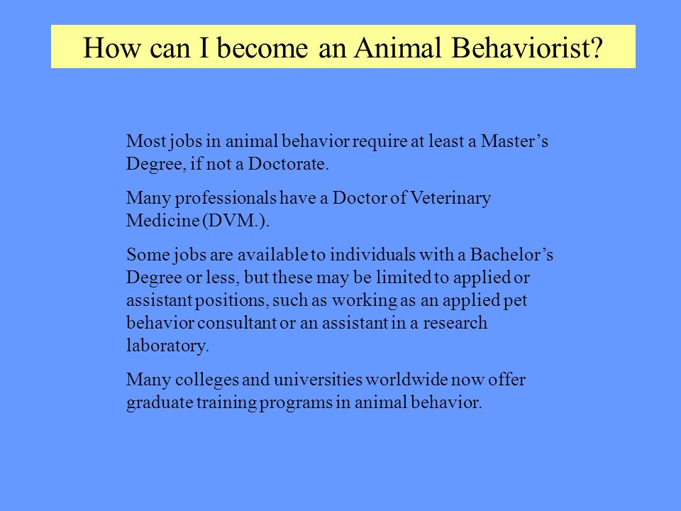 Agricultural Careers Animal Behaviorist By: Dr. Frank Flanders and Anna  Burgess Georgia Agricultural Education Curriculum Office Georgia Department  of. - ppt download